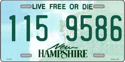 NH license plate 1159586
