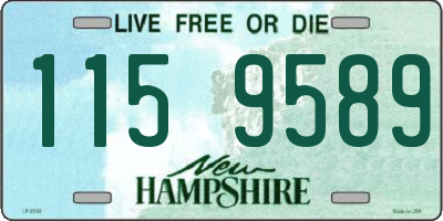 NH license plate 1159589