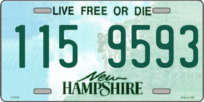 NH license plate 1159593