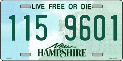 NH license plate 1159601
