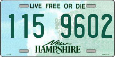 NH license plate 1159602