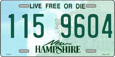 NH license plate 1159604