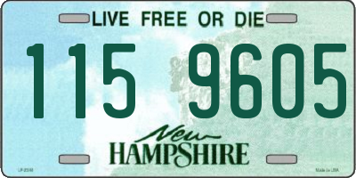 NH license plate 1159605