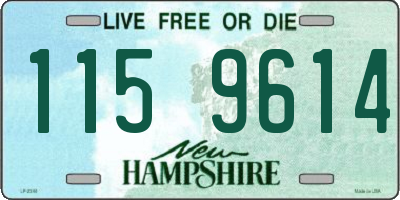 NH license plate 1159614