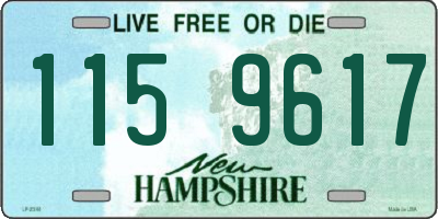 NH license plate 1159617