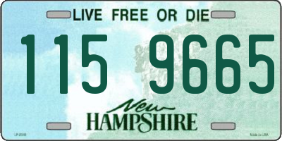 NH license plate 1159665