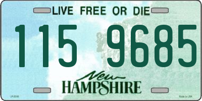 NH license plate 1159685