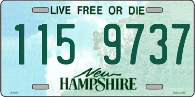 NH license plate 1159737