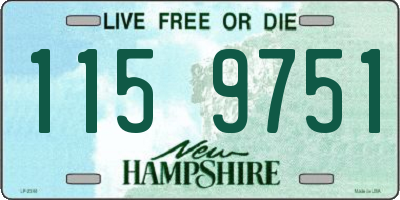 NH license plate 1159751