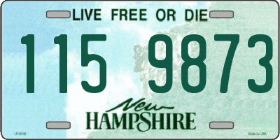 NH license plate 1159873