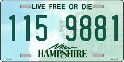 NH license plate 1159881