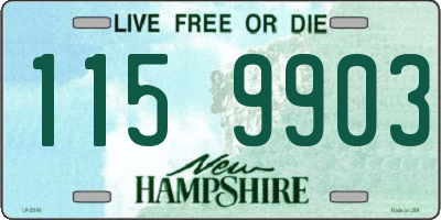 NH license plate 1159903