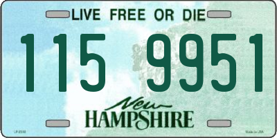 NH license plate 1159951