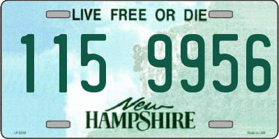 NH license plate 1159956