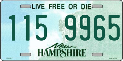 NH license plate 1159965