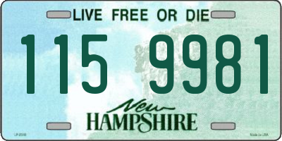 NH license plate 1159981
