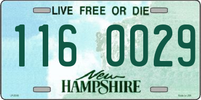NH license plate 1160029