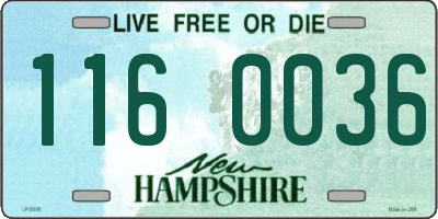 NH license plate 1160036