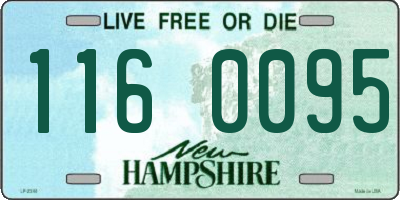 NH license plate 1160095