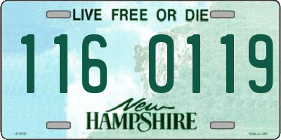 NH license plate 1160119