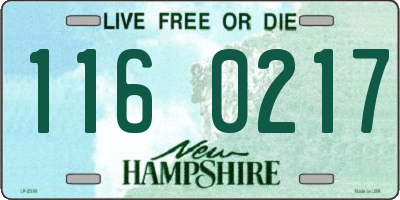 NH license plate 1160217