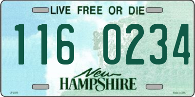 NH license plate 1160234