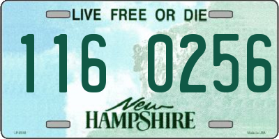 NH license plate 1160256