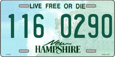 NH license plate 1160290
