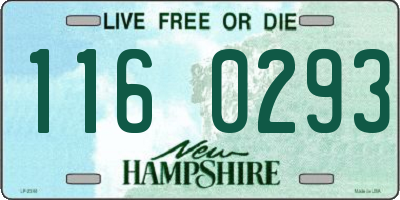 NH license plate 1160293
