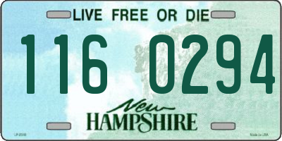NH license plate 1160294