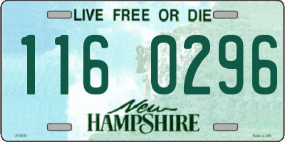 NH license plate 1160296