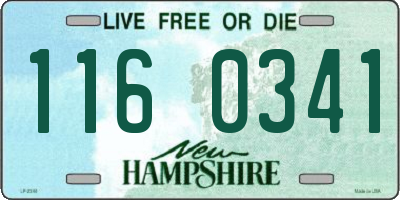 NH license plate 1160341