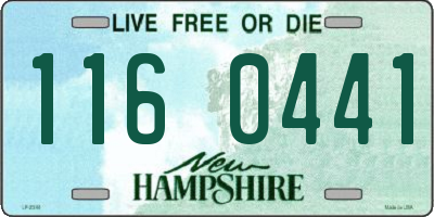 NH license plate 1160441