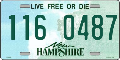 NH license plate 1160487