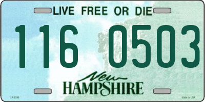 NH license plate 1160503
