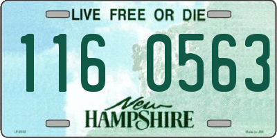 NH license plate 1160563