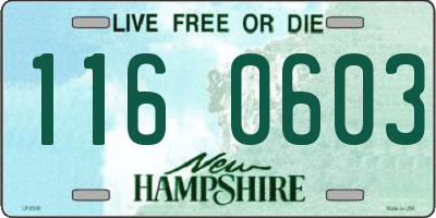 NH license plate 1160603