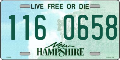 NH license plate 1160658