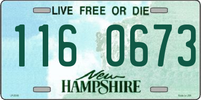 NH license plate 1160673