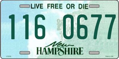 NH license plate 1160677