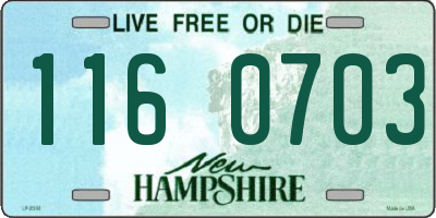 NH license plate 1160703