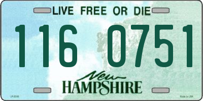 NH license plate 1160751