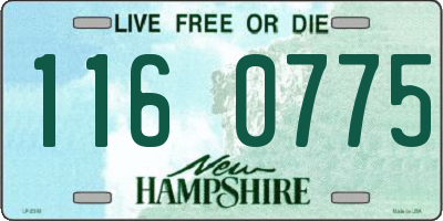 NH license plate 1160775