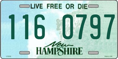 NH license plate 1160797