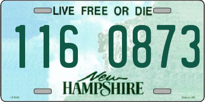 NH license plate 1160873