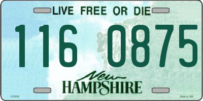 NH license plate 1160875