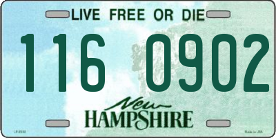NH license plate 1160902