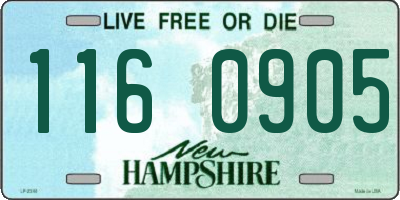 NH license plate 1160905