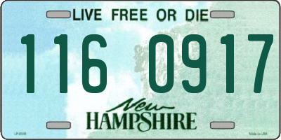 NH license plate 1160917