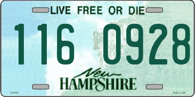 NH license plate 1160928